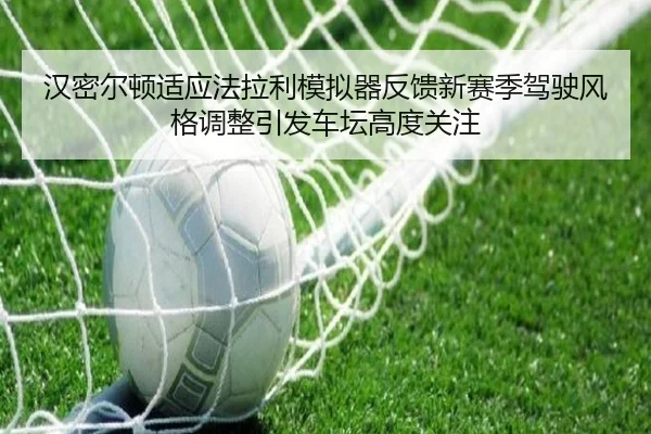 han-mi-er-dun-shi-ying-fa-la-li-mo-ni-qi-fan-kui-xin-sai-ji-jia-shi-feng-ge-tiao-zheng-yin-fa-che-tan-gao-du-guan-zhu-2-598.jpg