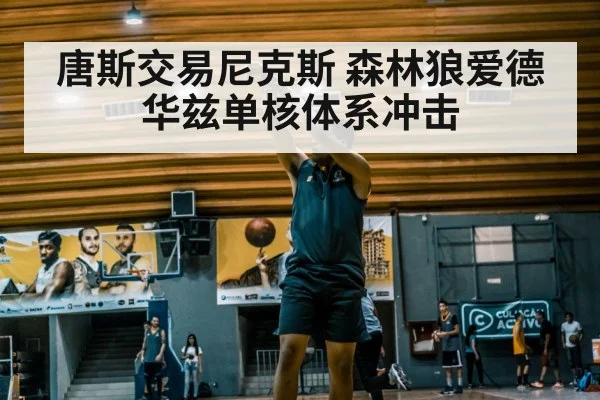 唐斯交易尼克斯 森林狼爱德华兹单核体系冲击