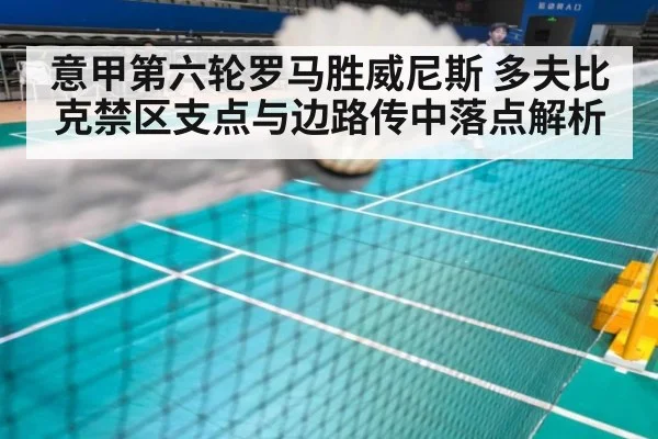 意甲第六轮罗马胜威尼斯 多夫比克禁区支点与边路传中落点解析